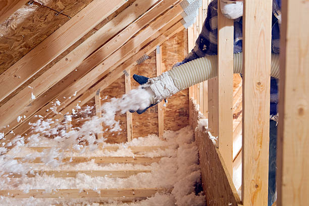 Carey, OH Insulation Removal & Installation Company